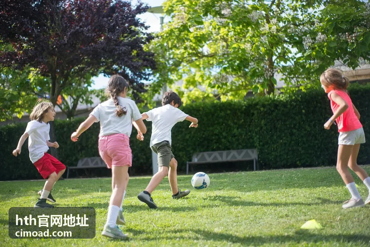 hth官网地址账号登录和安全验证流程示意